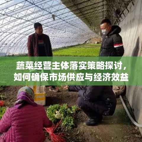 蔬菜经营主体落实策略探讨,如何确保市场供应与经济效益双赢?