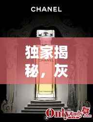 独家揭秘,灰色香水背后的低调奢华香气世界