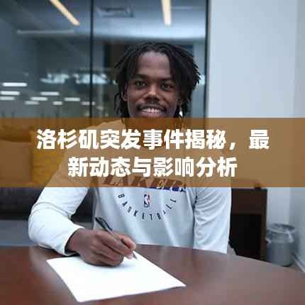 洛杉矶突发事件揭秘，最新动态与影响分析