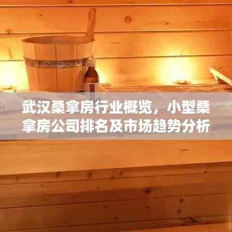 武汉桑拿房行业概览,小型桑拿房公司排名及市场趋势分析