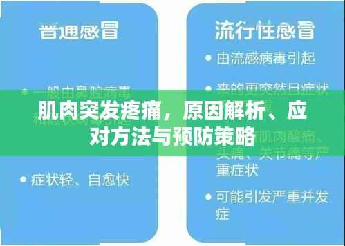 肌肉突发疼痛，原因解析、应对方法与预防策略