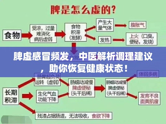 脾虚感冒频发,中医解析调理建议,助你恢复健康状态!