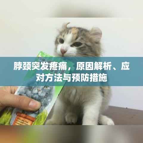 脖颈突发疼痛,原因解析、应对方法与预防措施