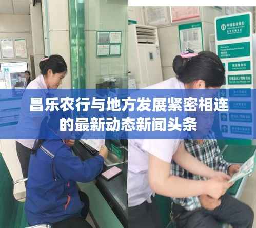 昌乐农行与地方发展紧密相连的最新动态新闻头条