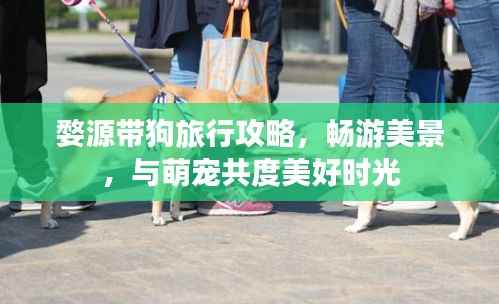 婺源带狗旅行攻略,畅游美景,与萌宠共度美好时光